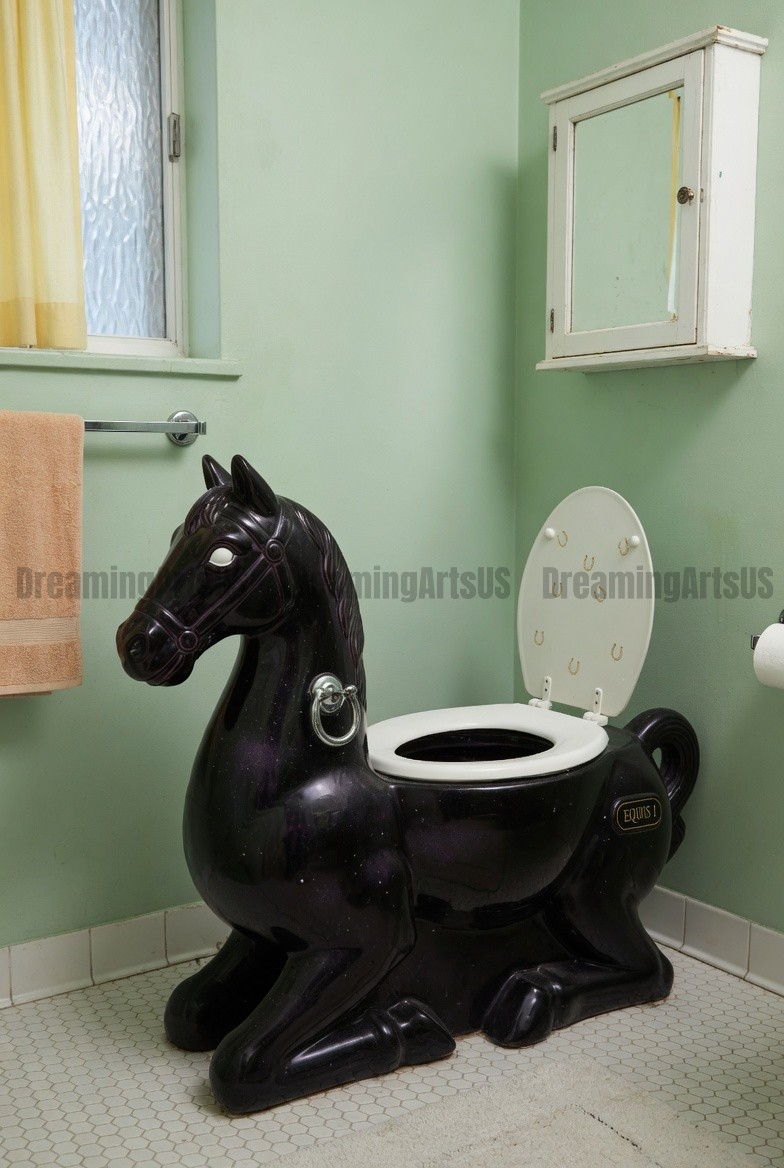 Horse Toilets