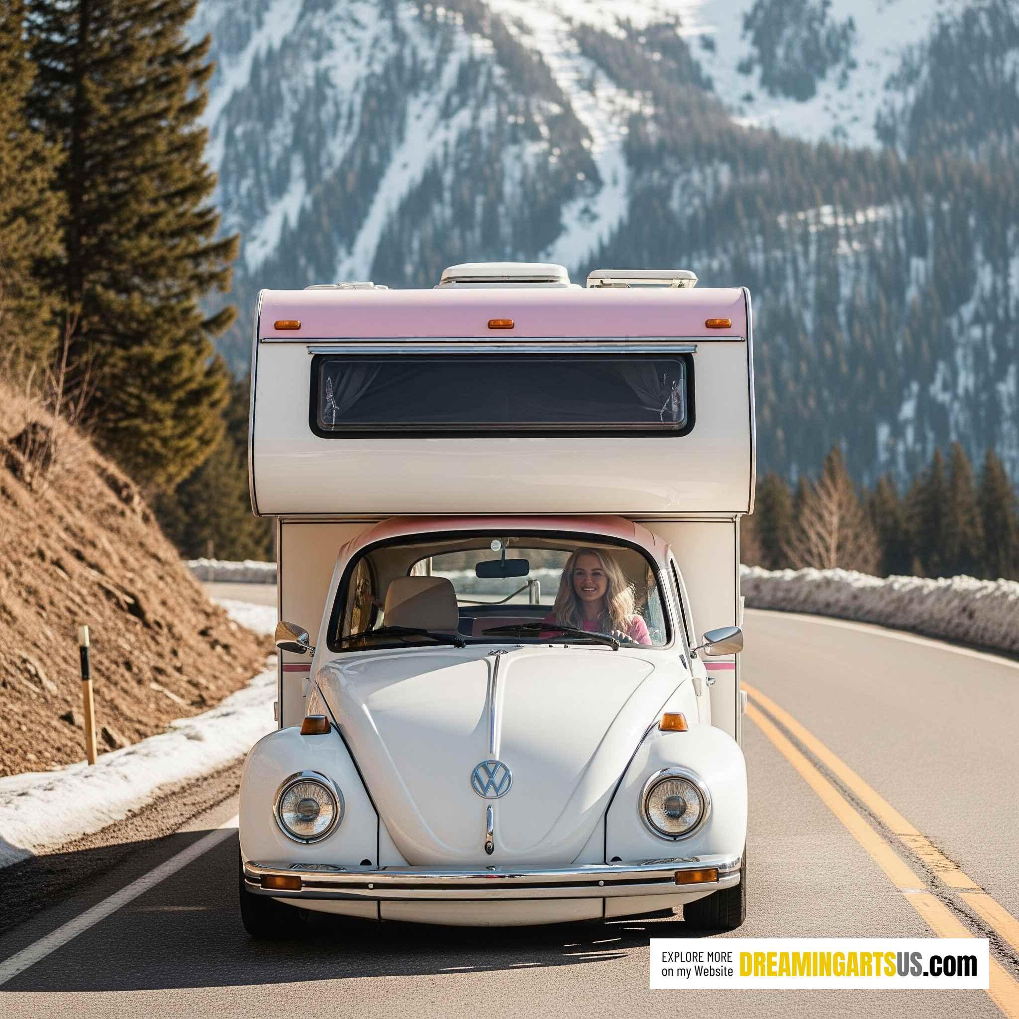 VW Beetle Camper RVs