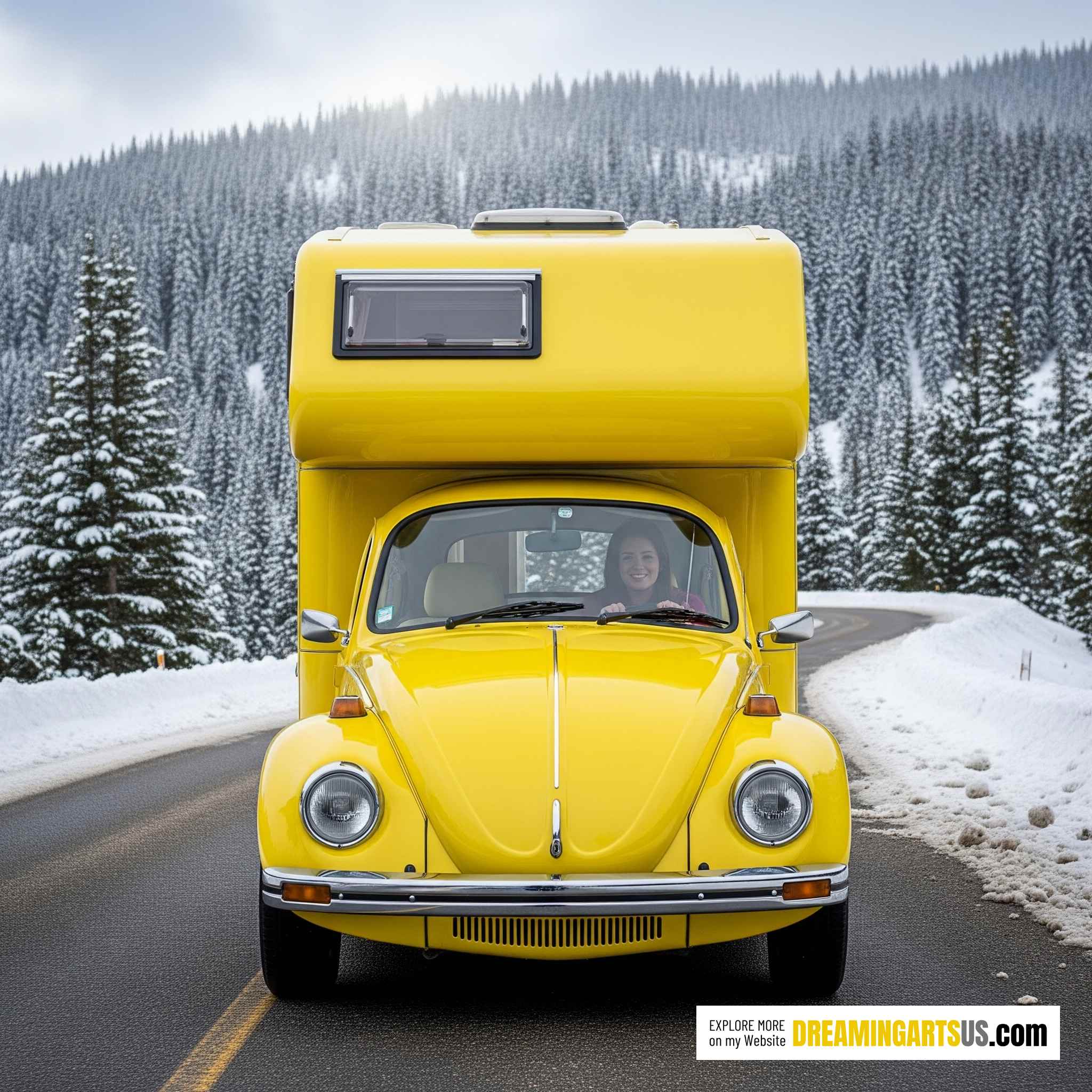 VW Beetle Camper RV